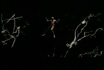 The Trees promo video