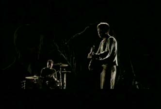 The Trees promo video