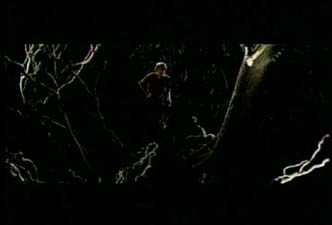 The Trees promo video